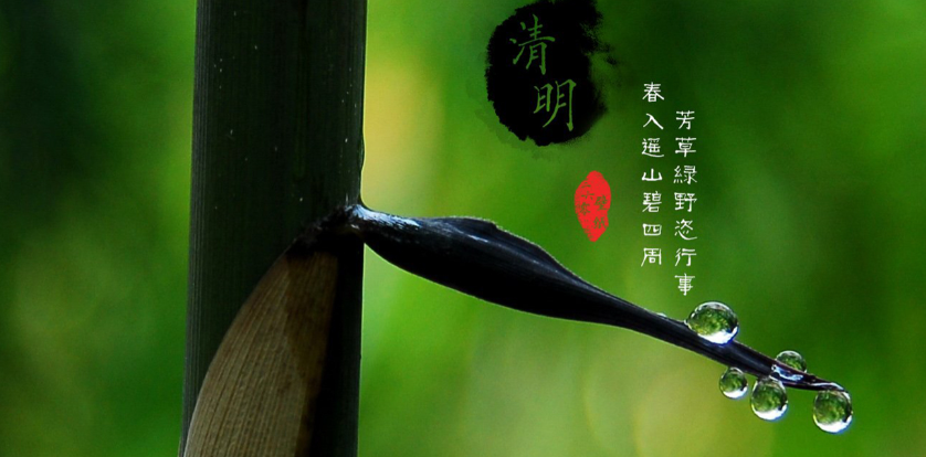 慈愿智慧殯葬告訴您：清明之后這十五天要做事情！